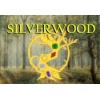 Silverwood: The Quest for Power – A Thrilling Role-Playing Board Game Adventure